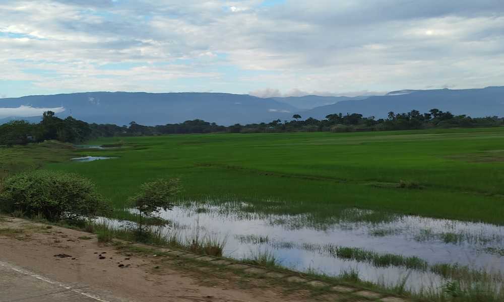 "Best Bangladesh Tour Packages, Affordable Tour Operator, Family Honeymoon Adventure Tours, Visit Dhaka Sylhet Cox's Bazar Sundarbans Saint Martin's Sajek, Bangladesh Travel Guide, Things to Do in Bangladesh, Cox's Bazar Beach, Royal Bengal Tiger Safari, Sreemangal Tea Gardens, Lalbagh Fort, Kuakata Beach Tour, Bangladesh Tourism Keywords. Best Tour Packages, Cheap Tour Packages, Affordable Tour Packages, Top Tour Operator, Travel Agency, Travel Tours Family Tour Packages, Couple Tour Packages, Group Tour Packages, Luxury Tour Packages, Adventure Tours, Honeymoon Packages, Holiday Packages, Customized Tour Packages, Weekend Getaways 3 Days 2 Nights Tour, All-Inclusive Tour Packages, Short Tours, Guided Tours, Private Tours, Long Tours, Day Tours, Travel Boy Bangladesh, www.travelboybd.com"